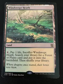 Windswept Heath Khans of Tarkir Regular - Image 1