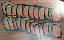 23x Forest Basic Land - LP - Mirage - mtg SPARROW MAGIC - Image 2