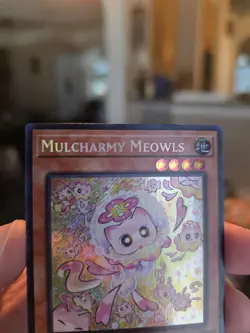 Yu-Gi-Oh! Mulcharmy Meowls SUDA-EN025 1st Edition Secret Rare - Image 3