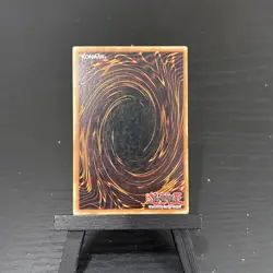 Masked Dragon SD1 - SD1-EN009 - Common - 1st Edition - Image 2