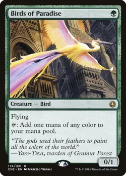 Birds of Paradise / Paradiesvogel - CONSPIRACY: TtC - englisch (nm +) *Rare* - Image 1
