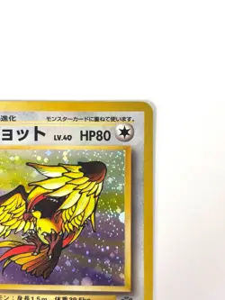 LP EX Pokemon Card Pidgeot Lv.40 No.018 HOLO OLD BACK JAPAN - Image 3