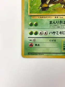 HP Pokemon Card Pinsir LV.24 HP60 HOLO OLD BACK JAPAN - Image 4