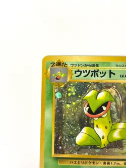 LP EX Pokemon Card Victreebel Lv.42 No.071 HOLO OLD BACK JAPAN - Image 2