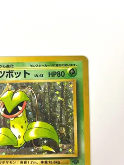 LP EX Pokemon Card Victreebel Lv.42 No.071 HOLO OLD BACK JAPAN - Image 3