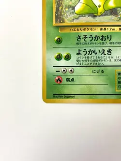 LP EX Pokemon Card Victreebel Lv.42 No.071 HOLO OLD BACK JAPAN - Image 4