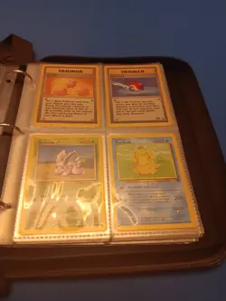 Pokemon Binder With Cards Fossil Holo - Image 5