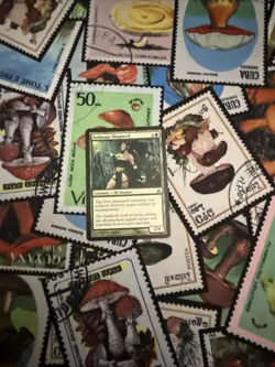 Nullmage Shepherd Ravnica: City of Guilds Regular - Image 2