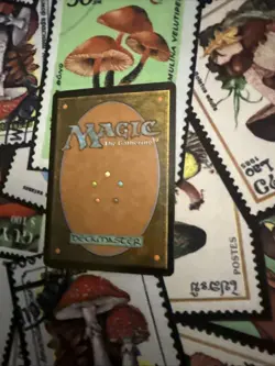 Nullmage Shepherd Ravnica: City of Guilds Regular - Image 4