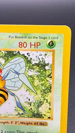 Beedrill [Shadowless] - 017/102 - Pokemon Base Set - MP - Image 5