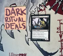 Carrion Feeder - Duel Decks: Phyrexia vs. the Coalition (DDE) - Light Play - MTG - Image 1