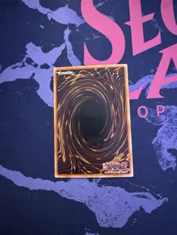 YU-GI-OH! - Harpyien-Bruder - PSV-G049 - 1.Auflage - Image 2