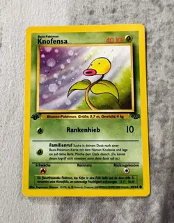 1st Edition Bellsprout German (Knofensa) - NM- Jungle 2000 Pokemon WOTC - 49/64 - Image 1