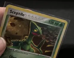 Pokemon TCG Sceptile 4/17 Pop Series 1 Holo Rare Card Played - Image 2