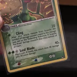 Pokemon TCG Sceptile 4/17 Pop Series 1 Holo Rare Card Played - Image 3