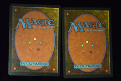 LOT Of 2 EARTHBIND MTG MAGIC THE GATHERING CARD 1994 3RD EDITION REVISED NM - Image 2
