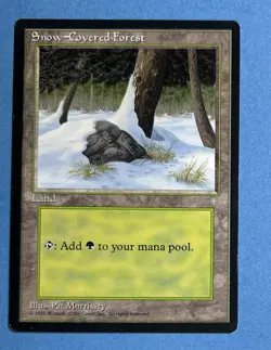 Snow-Covered Forest Ice Age Regular - Image 1