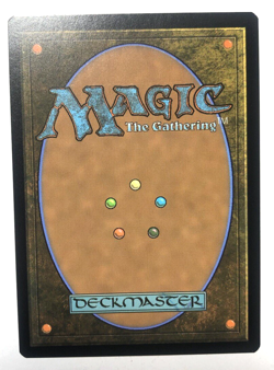 Mountain 0273 Wilds of Eldraine INK MISPRINT MTG Magic the Gathering NM - Image 2