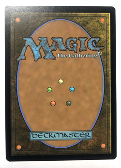 Swamp 0272 Wilds of Eldraine INK MISPRINT MTG Magic the Gathering NEAR MINT NM - Image 2