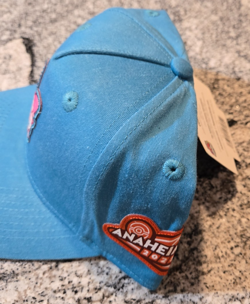 Anaheim 2025 Pokemon World Championships Curved Brim Hat Snapback Cap Jigglypuff - Image 2