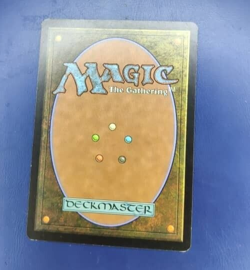 MTG LAUGHING HYENA SIGNED UNHINGED MARK POOLE - Image 2