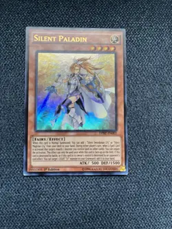 Silent Paladin DPRP-EN003 - Rivals of the Pharaoh - 1st Edition - Image 1