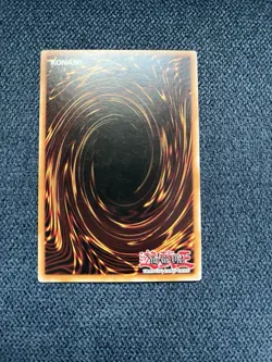 Silent Paladin DPRP-EN003 - Rivals of the Pharaoh - 1st Edition - Image 2