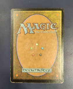 MTG 7th Forest FOIL SIGNED - Image 2