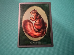 Squirrel Token - Unglued - MTG - Magic the Gathering - Image 2