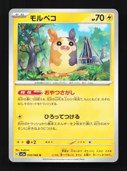 Morpeko 030/066 NM Crimson Haze Japanese Pokemon Card TCG - Image 1