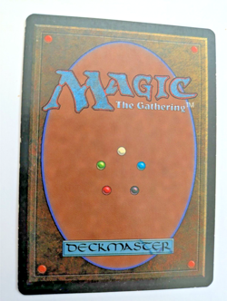 Karplusan Forest Ice Age MTG EXC - Image 3