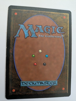 Karplusan Forest Ice Age MTG EXC - Image 4