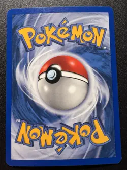 Raichu 13/95 EX Team Magma vs. Aqua Pokemon Card Reverse Holo Foil Rare HP - Image 2