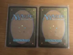 Razia's Purification, MtG, Ravnica: City of Guilds, 224/306, LP ***Lot of 2*** - Image 2