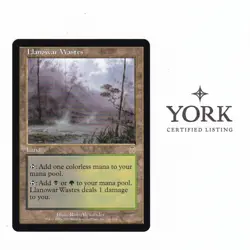 MTG Llanowar Wastes - Apocalypse #141/143 - NM Regular EN - Image 1