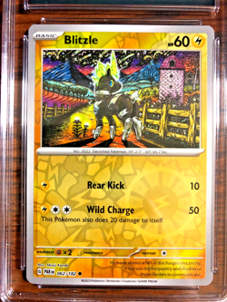 Blitzle Reverse Holo #062 - CGC GEM MINT 10 - 2023 SV Paradox Rift - Pokemon TCG - Image 2