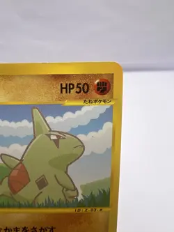 Pokemon Card Pikachu Larvitar 004/P 005/P ANA All Nippin Airways Promo Japanese - Image 4