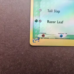 Treecko 76/109 Pokemon EX Ruby & Sapphire Reverse Holo Card - LP - Image 4