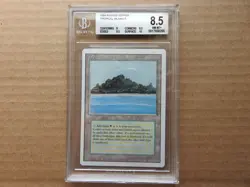 Tropical Island BGS 8.5 NM-MT+ [Revised Edition] Mtg Magic Free Priority Mail! - Image 1
