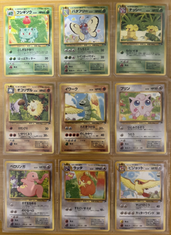 Pokemon Card Complete Southern Island 18 Card Set Japanese - Image 3