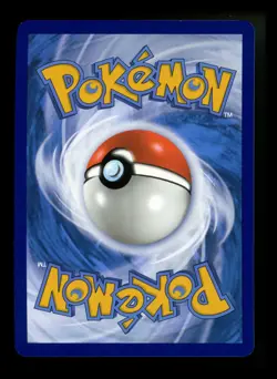 Fidough 213/198 Scarlet Violet 2023 Holo Rare IR Pokemon Card TCG - Image 2