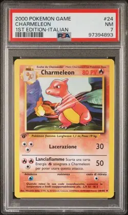 Pokemon PSA 7 Charmeleon #24 1st Edition Base Set 2000 Italiano - Image 2