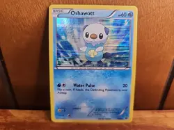 Pokemon Oshawott (Black & White Promos) BW03 Black Star Promo HOLO RARE (LP) - Image 1
