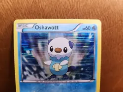 Pokemon Oshawott (Black & White Promos) BW03 Black Star Promo HOLO RARE (LP) - Image 2