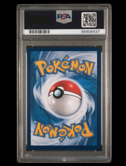 Pokemon S-Chinese Green's Exploration 033/024 CSMPiC SR Full Art Holo Mint PSA10 - Image 2