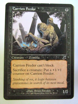MTG Carrion Feeder Scourge Light Play!! - Image 1