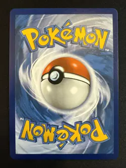 Team Magma's Groudon 9/95 Holo Rare Pokemon Celebrations CEL 2021 NM Deutsch - Image 2