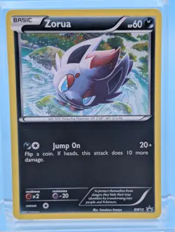 Zorua BW12 Holo - Black Star Promo - Pokemon Black & White - MP - See Video - Image 1