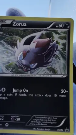 Zorua BW12 Holo - Black Star Promo - Pokemon Black & White - MP - See Video - Image 2