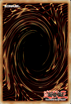 RAIDRAPTOR - FORCE STRIX OP24-EN022 COMMON YuGiOh - Image 2